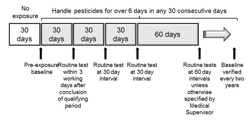 Cholineterase monitoring timeline