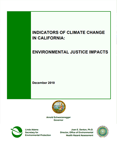 2010 ICC report thumbnail