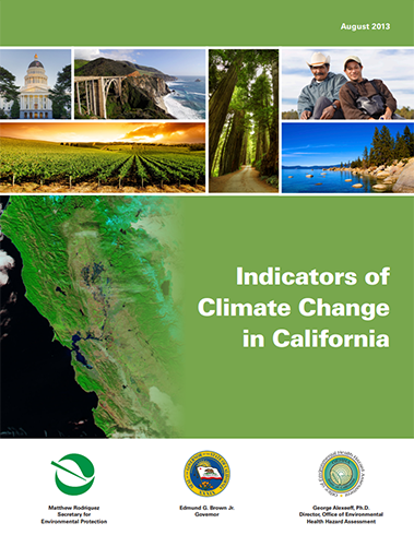 2013 ICC report thumbnail