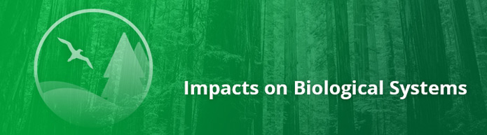 Banner for Impacts on Biological Systems