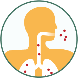 PM2.5