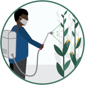 Pesticide Use