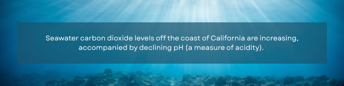 Sea floor in the background and text in the foreground that says "Seawater carbon dioxide levels off the coast of California are increasing, accompanied by declining pH (a measure of acidity)."