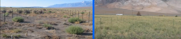 Left image shows burn area with non native vegetation, stall barren. The right with native vegitation has largely recovered.