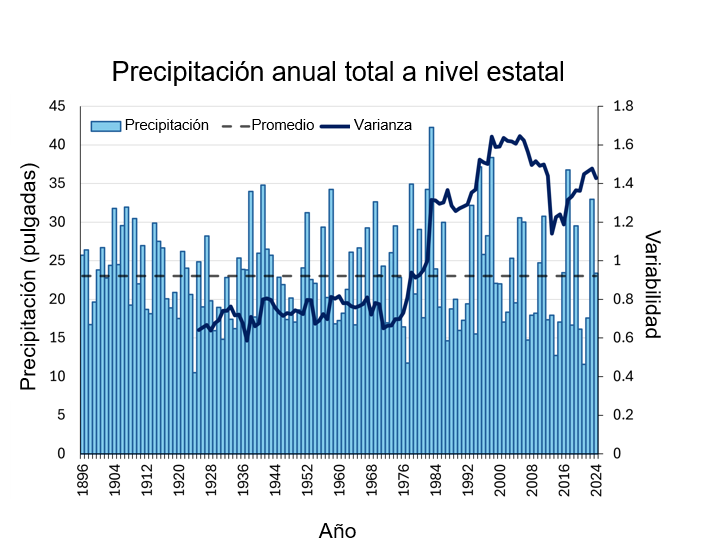 Gráfico de líneas y de barras que muestra la precipitación anual total en todo el estado, expresada en pulgadas, y su variabilidad. En general, la variabilidad ha aumentado entre 1896 y 2024.  