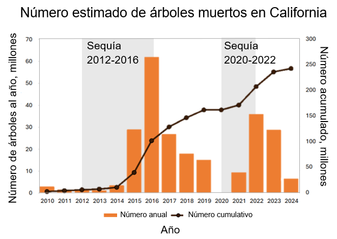  Gráfico de barras y líneas del número estimado de árboles muertos en California, en millones, desde 2010 hasta 2024. Las barras representan números anuales y la línea representa los números acumulados. Los árboles muertos aumentaron masivamente durante y después de sequías, como en 2012 a 2016 y de 2020 a 2022.