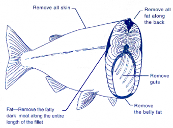 Diagram for how to prepare fish by removing skin, fat, and guts