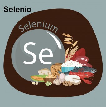 El selenio se representa como Se junto a los alimentos como pescado, langosta, ajo, nueces, queso, maíz, pan y trigo.